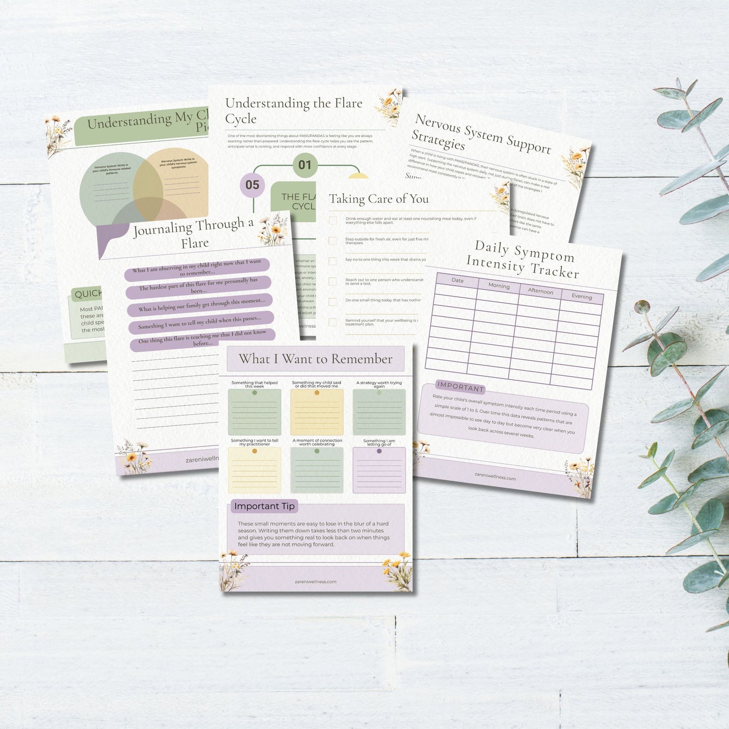 The PANS PANDAS Family Guide: Understanding, Supporting, and Navigating Complex Symptoms